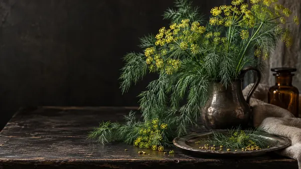 Dill herb