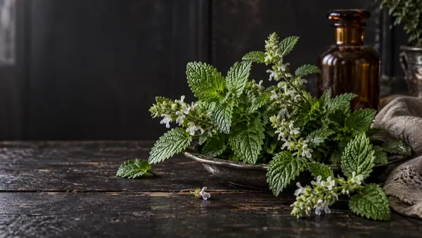 Lemon Balm herb