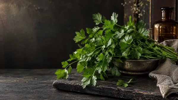 Parsley herb