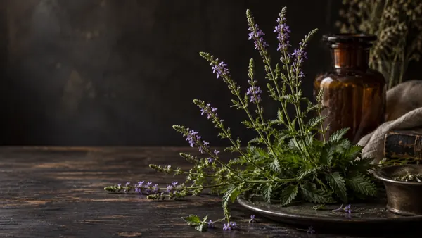 Vervain herb